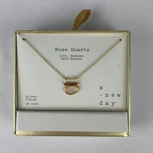 Rose Quartz Silver Plated 18 inch Pendant Necklace - A New Day